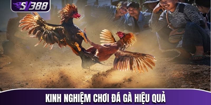 3 kèo cược hấp dẫn nhất hiện có tại sân chơi