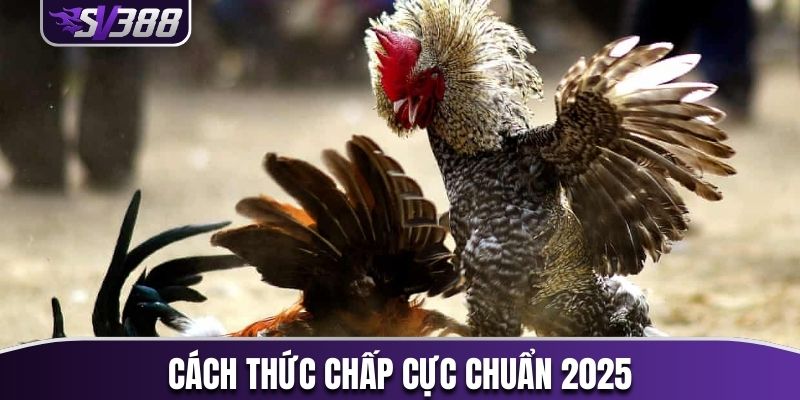 Cách thức chấp cực chuẩn 2025