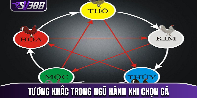 Tương khắc trong ngũ hành khi chọn gà theo màu mạng