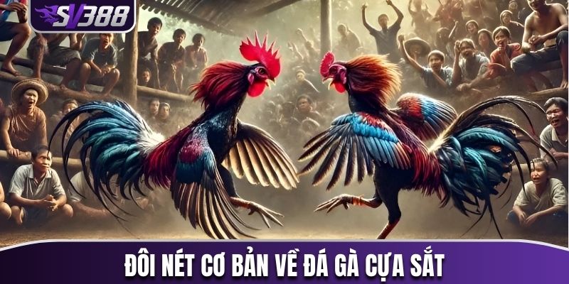 Vài nét cơ bản về đá gà cựa sắt SV388