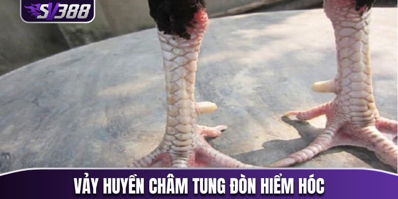 Vảy huyền châm tung đòn hiểm hóc