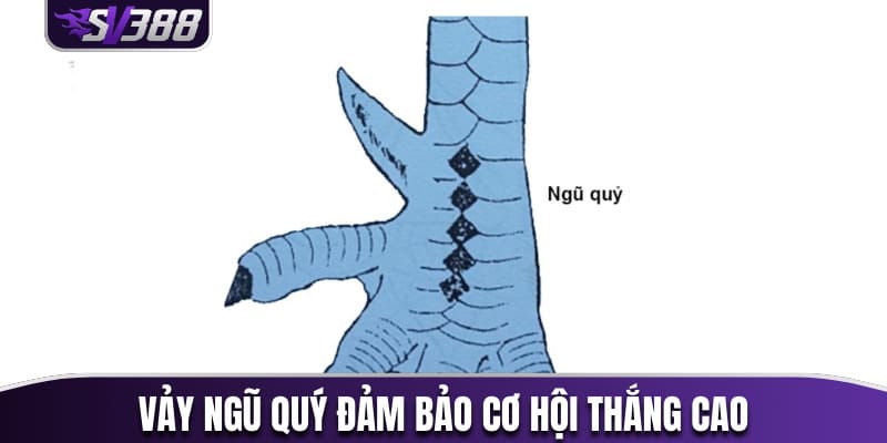 Vảy ngũ quý đảm bảo cơ hội thắng cao